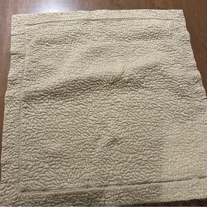 Luxurious Peacock Alley pillow sham